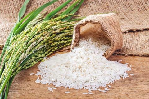 فوائد الأرز الصحية وكيفية دمجه في نظامك الغذائي