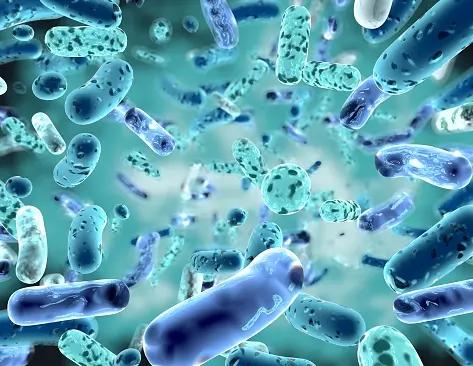 البروبيوتيك: فوائد البكتيريا النافعة