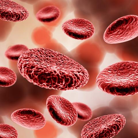تسمم الدم : اكتشف الأسباب والأعراض واستراتيجيات
