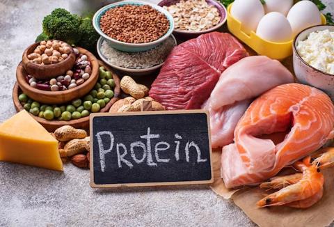 تعرف على 7 أفضل مصادر البروتين لتعزيز نظامك
